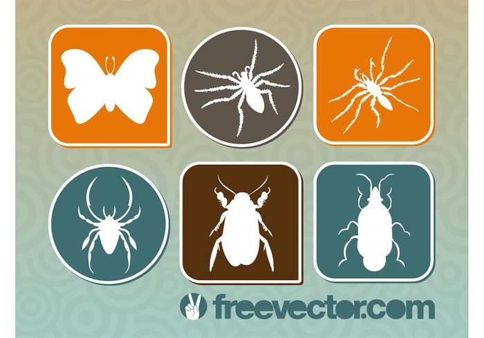spiders silhouettes nature legs insects fauna Cockroach butterfly bugs Arthropods antennas animals 