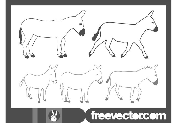 tail outlines Livestock lines linear farm animals Donkeys donkey animals animal 