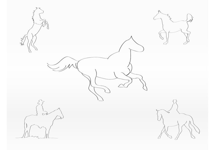 wild Vector illustrations Trot sketch Saddle ride pencil mane line art horses Hooves Gallop drawing cowboy animals 