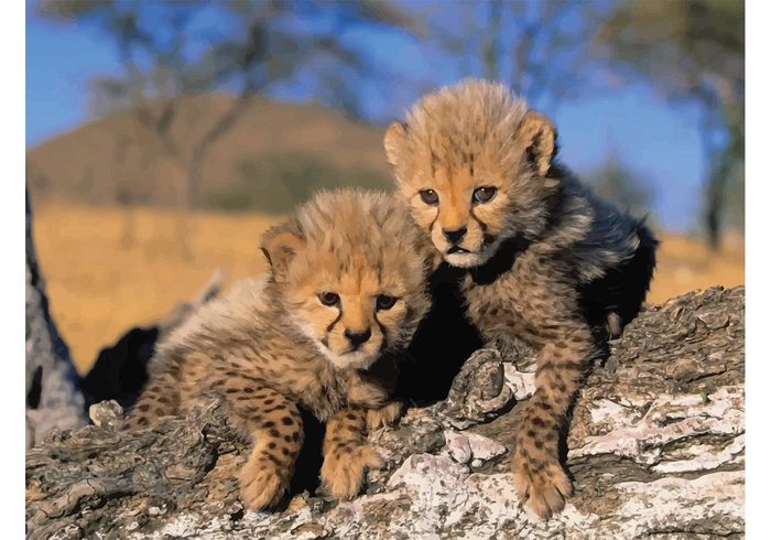 Tree trunk sweet savanna grass Feline Fastest cute Cubs Cheetah cubs cheetah beautiful Baby animal babies animal 