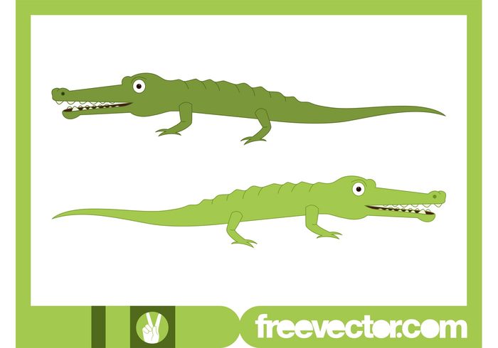 wild Reptiles Predators nature mascot comic characters character cartoon Baby crocodile animals 