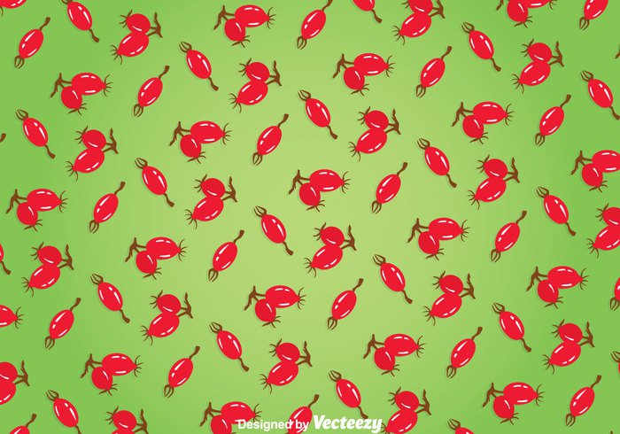 wallpaper rosehip red print plant pattern nature fruit decoration Berry background 