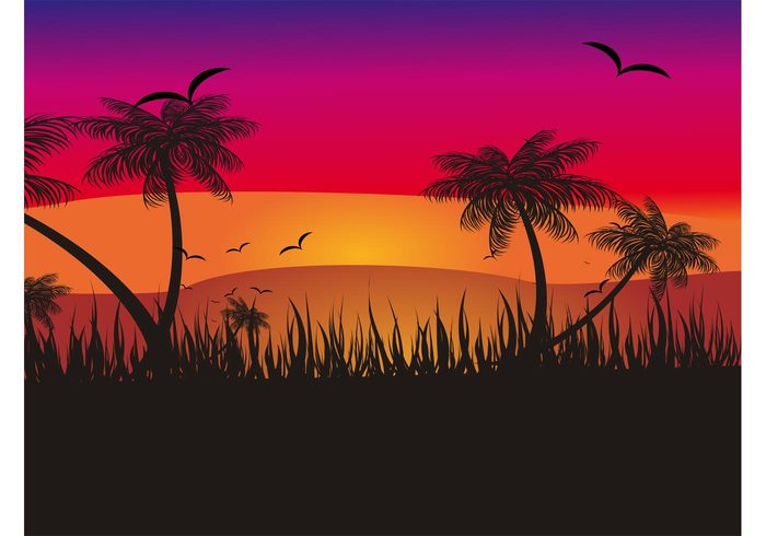 wallpaper trees sky silhouettes seagulls plants palms nature grass exotic birds Backgrounds backdrop  