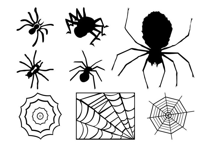 web spiders spider webs spider web spider silhouettes nature halloween Arachnids animals 