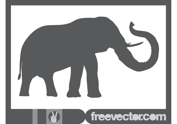wildlife tusks trunk silhouette nature fauna elephant animal african africa 