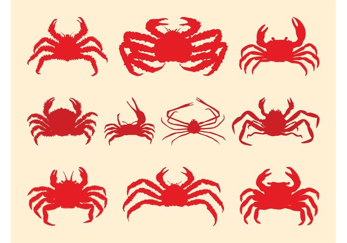silhouettes silhouette seaside sea marine fauna crustacean Crabs crab claws animals animal  