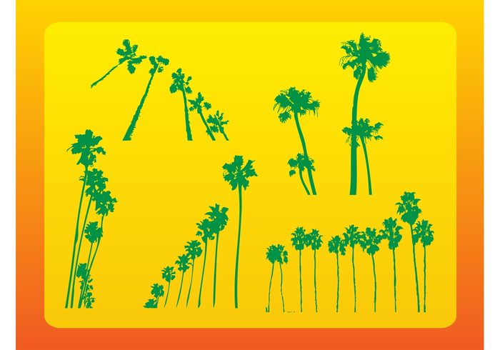 warm vector silhouettes vacation trunk tropical travel row plants palm trees palm outline hot fruits exotic Coconut palm 