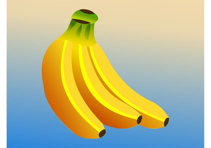 tropical tier sticker milkshake meal logo icon hand fruits food fingers exotic dessert cartoon bunch Bananas vector 