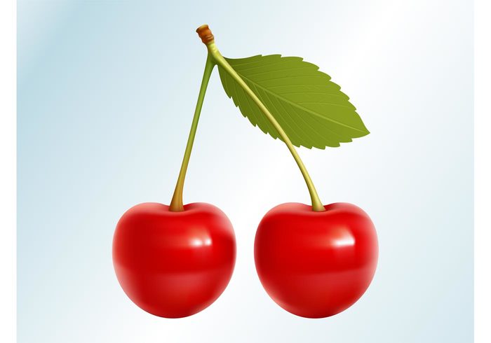 Vector Cherries Tasty sweet sticker Stems print logo leaf icon fruits food decal Cherry Vectors cherry 