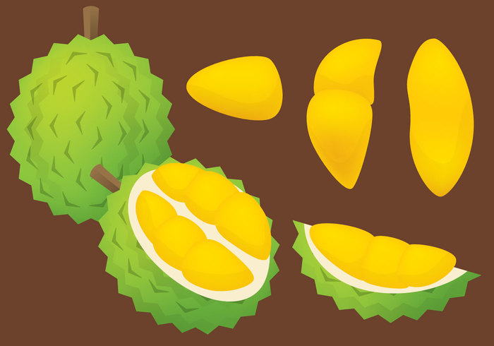 yellow white tropical symbol sweet summer strong snack smelly smell scent Ripe plant organic olive obesity nutrition nature natural isolated illustration Healthy green graphic fruit freshness fresh food fat exotic energy durian drawing design delicious color cartoon Calories background Asian asia art 