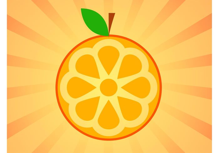 Vitamin c vitamin Tasty taste Orange vector orange juice orange marmalade Healthy health fruit food icon Fibers 