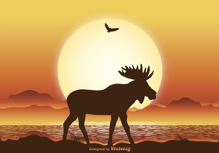 wildlife wild sunset sunrise summer strong spring sky silhouette scene Pride powerful places outdoors north nature natural moose silhouette moose mammal landscape land horn Habitat free forest field fauna environment elk country bush beauty beast antlers animal america  