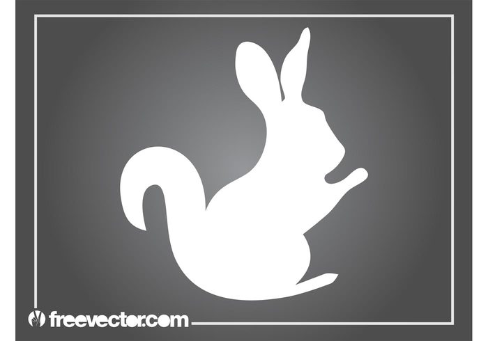 tail silhouette rabbit pet nature Hare fauna ears bunny animal 