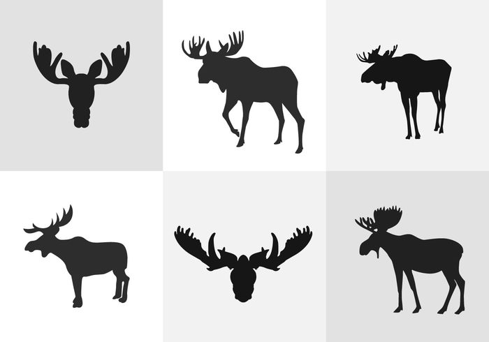 silhouette shadow moose silhouette moose mammal horns elk dark brown antlers animal 