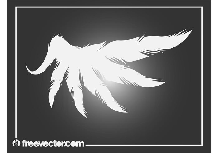 wing silhouette Plumage nature icon fly flight feathers bird angel 