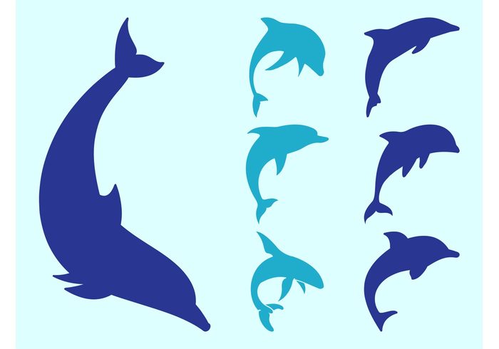 swim silhouettes silhouette sea ocean marine jump dolphins dolphin Aquatic animals animal 
