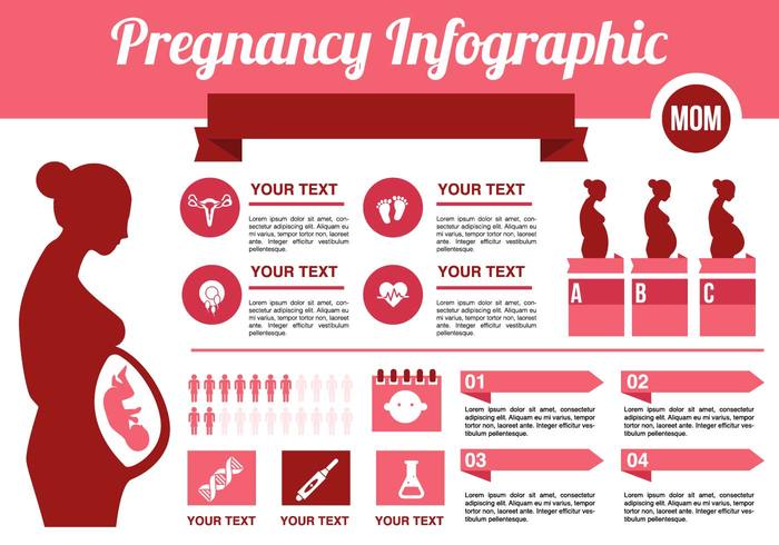women weight vector trimester text test template symbol statistics silhouette set retro recomendation presentation pregnant mom pregnant pregnancy person Parenting parent nutrition Motherhood mother medical maternity map life information infographics info icon heart health graphic graph food flat female element diagram design data concept chart birth Belly background baby  
