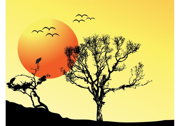 walking walk tree silhouette sun Relaxation peaceful freedom fly Fall Cool backgrounds chill birds autumn Adventure 