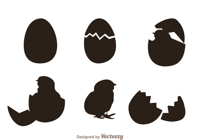 silhouette roster process poultry nature little Hen hatched egg hatch farm egg hatching egg chiken chicken silhouettes chicken silhouette chick bird animal 