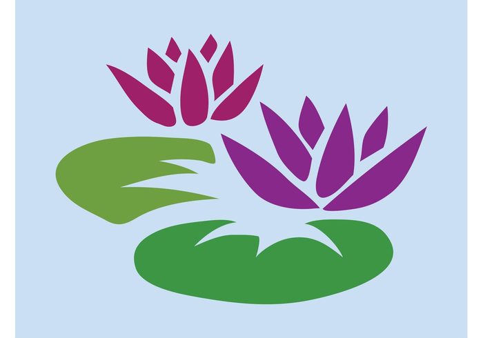 water lily water tropical plants petals nature Lotus flowers logo leaves icon flowers flowering floral flora exotic cartoon botany Aquatic 