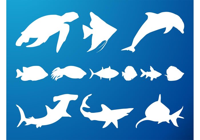 turtle silhouettes silhouette shark sea ocean marine fish dolphins dolphin Aquatic animals animal 