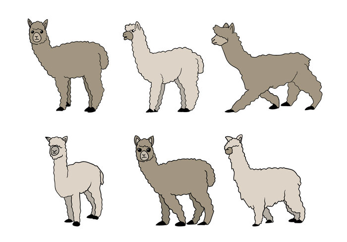 set Peruvian peru nature Mammals llama Lama isolated illustration hand drawn fauna Chile character art animal america alpaca 