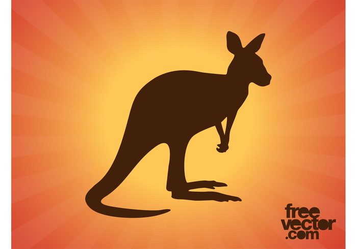 wildlife wilderness wild tail silhouette nature kangaroo fauna Australian Australia animal 