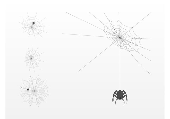 web stylized sticker Phobia minimal legs insect horror halloween Fear creepy animal 