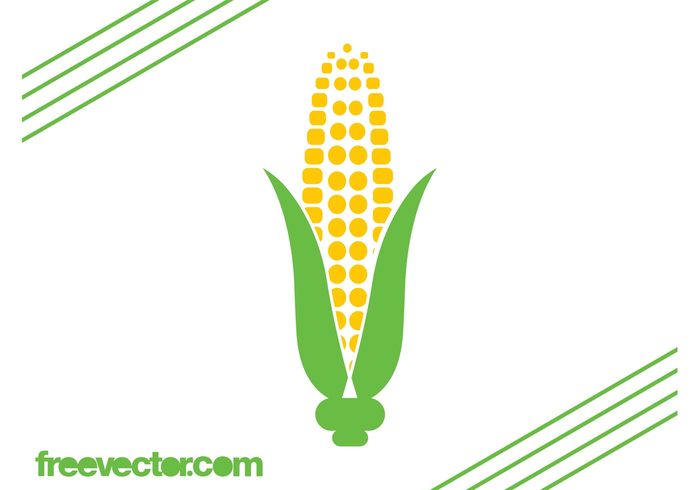 vegetable stylized logo leaves Kernels icon food eat corn on the cob corn Cob 