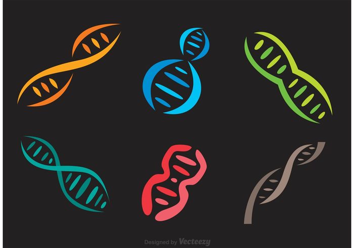 technology spiral shape science research people molecular medicine medical life Human helix health Genetic double helix DNA colorful cloning Chromosome chemistry cell 