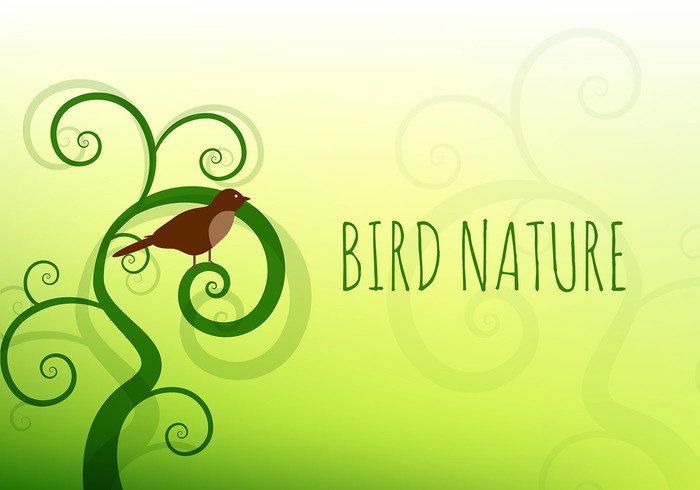 nature green floral cute colorful card birdnature background birdnature bird wallpaper bird swirl bird nature bird background bird 
