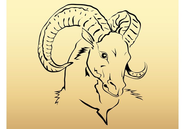 zodiac wild sign ram Livestock forest farm eyes Domesticated Curved horns astrology Aries animal 