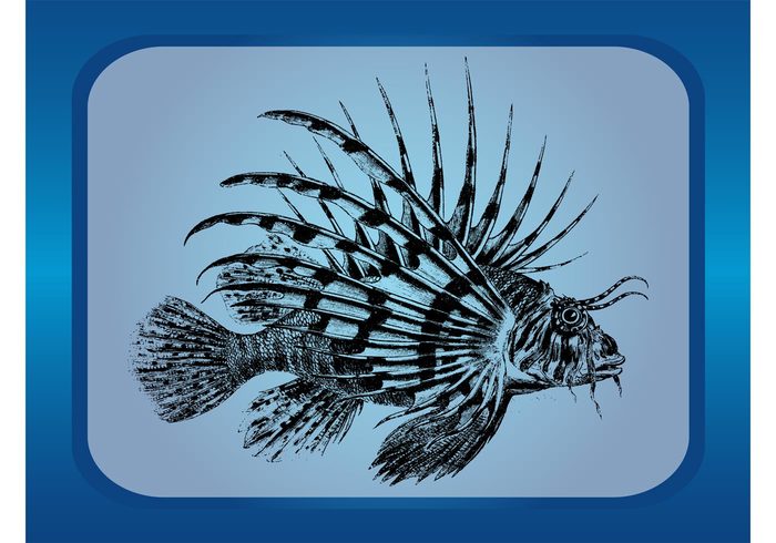 Zoology water tropical swimming sea restaurant ocean lake hand drawn fauna detailed Aquatic animal 