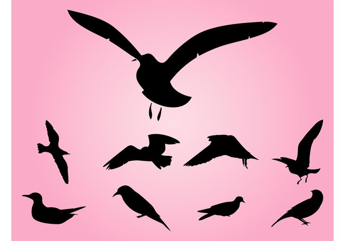 wings stickers sparrow seagulls outlines nature logos legs icons flying dove birds beaks animals 