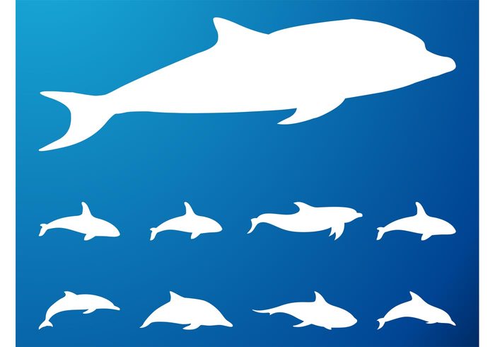 Tails swim silhouettes silhouette sea ocean nature marine Fins fauna dolphins dolphin Aquatic animals 