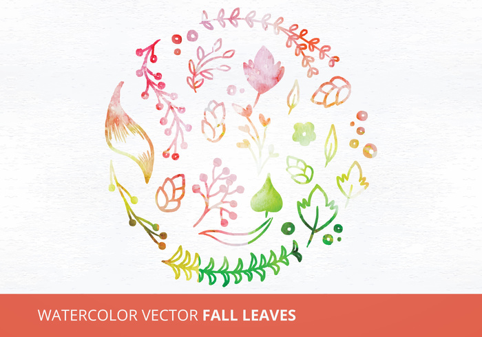 watercolor vector watercolor objects watercolor leaves watercolor leaf watercolor painted objects leaves leaf collection leaf fall leaves watercolor fall leaves collection fall leaf Fall elements collection autumn leaf autumn elements autumn 