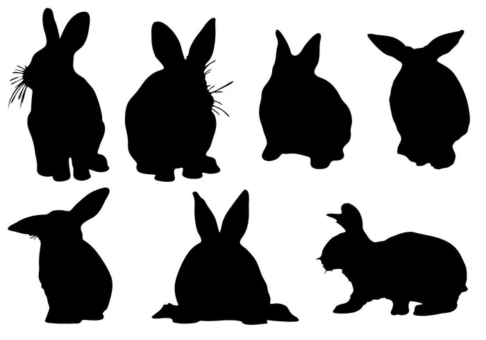 wildlife white vector sitting silhouette shape shadow rodent rabbit pets outline nature isolated graphic easter drawing Domestic collection bunny black animal 