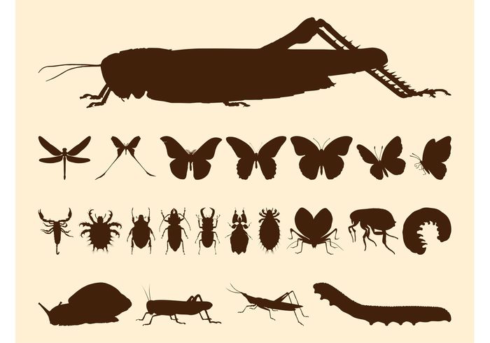 snail silhouettes silhouette scorpion nature insects insect grasshopper Faun butterflies bugs Beetles animals 