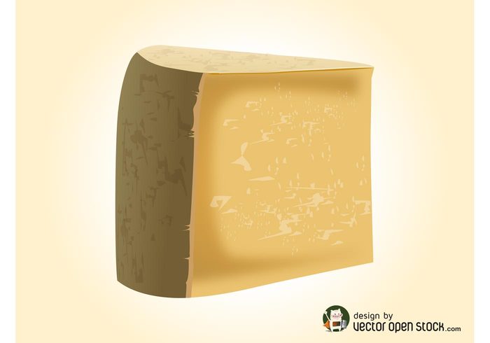 Yellow cheese slice skin realistic food eat detailed dairy Cheese vector cheese 