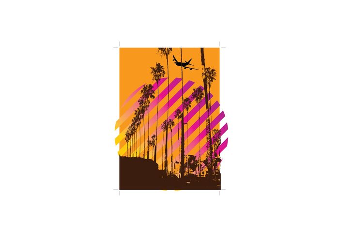 USA tropical trees sky road plant palm nature Los Angeles hollywood high group exotic coast Boulevard botanic beach america 