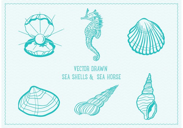wildlife wave water vintage vector vacation underwater tropical travel tourism summer sketch shellfish shell set seashell seahorse sea horse sea saltwater retro pearl shell pearl pattern old ocean nature marine illustration holiday hand drawn hand graphic fish fauna exotic element drawn drawing diving design decorative collection blue beach Aquatic aqua antique animal  