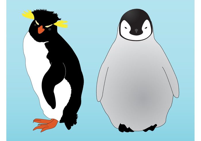 penguins Penguin vector penguin nature fur feathers fauna ecology comic cartoon birds baby Antarctica animals Adult 