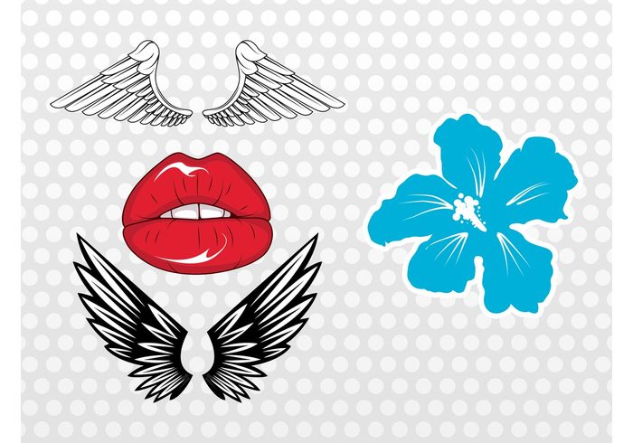 wings Vector footage tattoo sexy plant mouth Luscious lipstick lips kiss fresh fly flower floral feathers exotic decal bird angel 