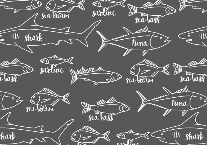 white Tuna sardine salmon repeat pattern gray fish bass fish bass background 