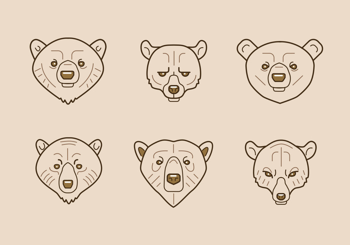 wildlife strong polar bear paw outlines minimal mammal infographic Grizzly forest beast brown black bear vectors bear vector logo Bear vector badge animals 