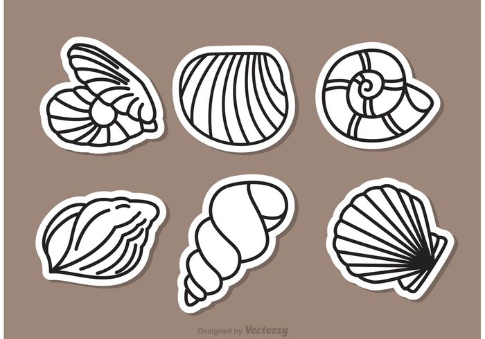 water underwater shellfish shell seashell seafood sea scallop reef pearl shells pearl shell pearl oyster outline ocean nature marine life creatures cone conch clam beach Aquatic animal  