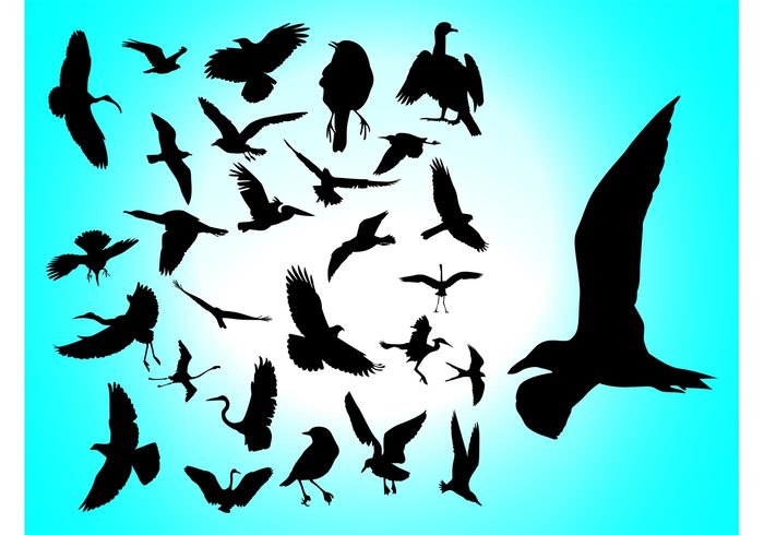 wings swallow stickers sparrow silhouettes seagull nature freedom free fly flight flamingo fauna dove decals animals 