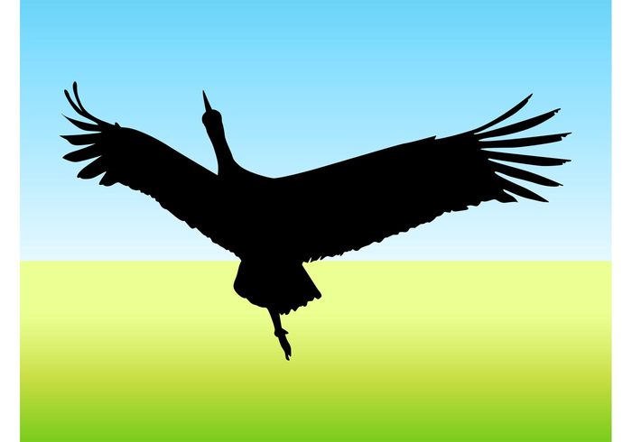 wings swan sticker silhouette Neck nature head flying fly flight feathers fauna decal bird beak animal 