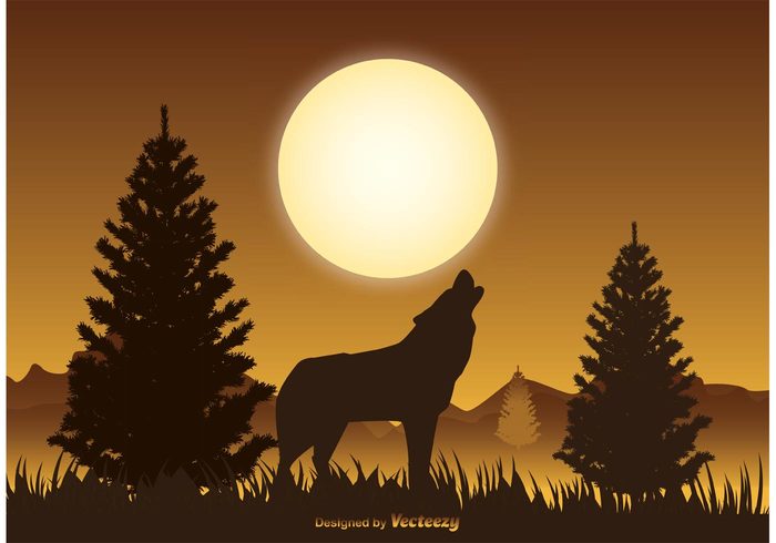 wolf wildlife illustration wildlife wilderness white vector illustration vector solitary sky silhouette pine trees night mysterious moon mammal landscape illustration howling Howl full moon full forest dark concept Canine black beautiful background animal 