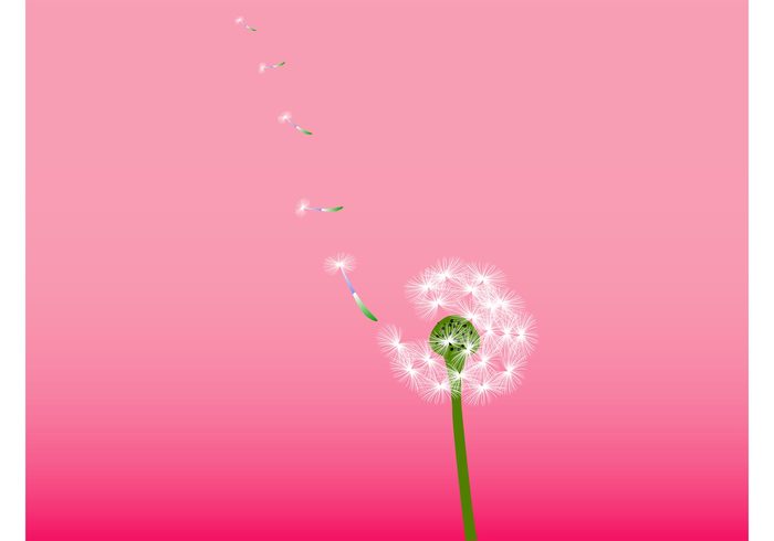 wishing wish weed stem seeds plant nature vector Making wishes flying fly flower floral dream decoration 